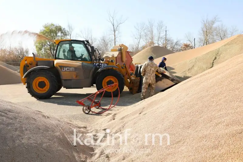 قىتايعا قازاقستان قانشا استىق ەكسپورتتاپ وتىر