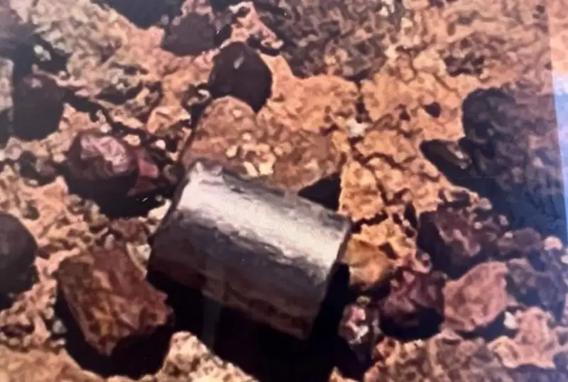 Потерянную в Австралии радиоактивную капсулу нашли