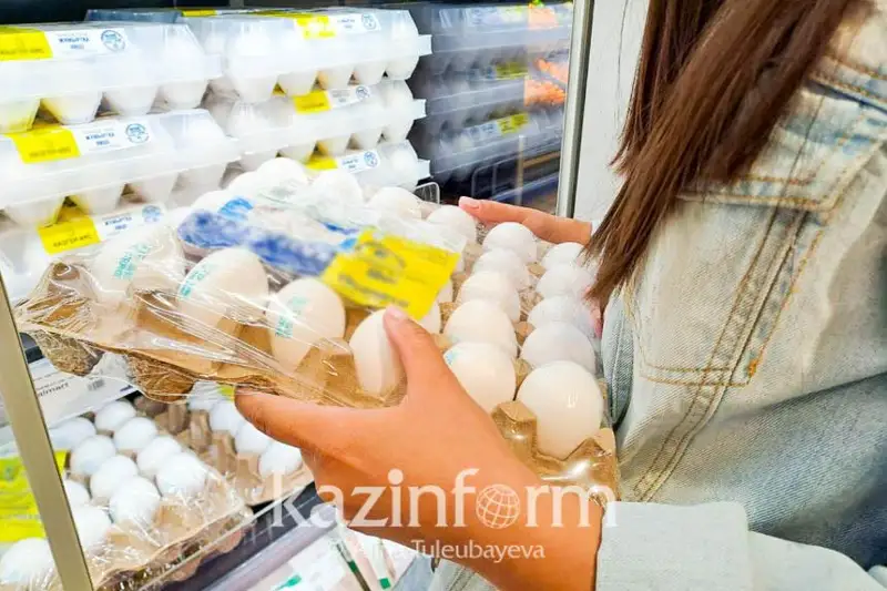 Úkimet depýtattardyń jumyrtqaǵa sýbsıdııany qaıtarý týraly usynysyn qabyldamady