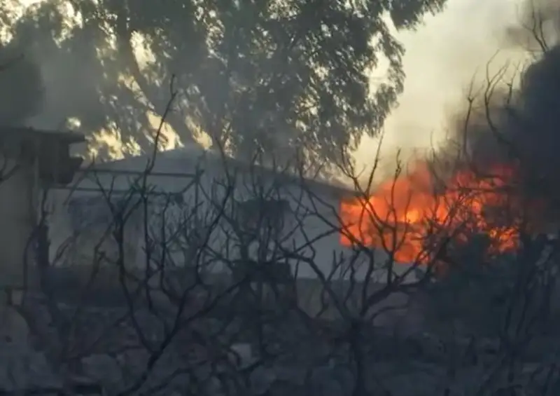 Лесной пожар на Родосе: 30 000 человек были эвакуированы