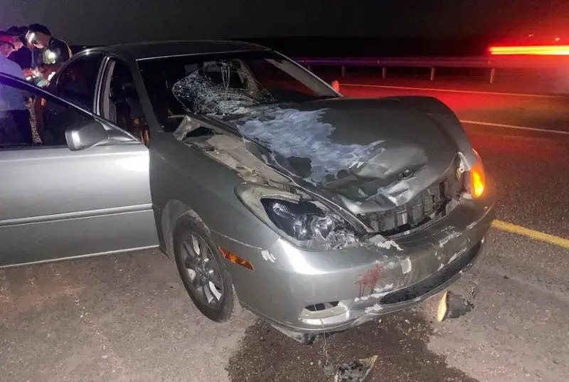 Мужчина погиб под колесами авто на трассе в области Жетысу