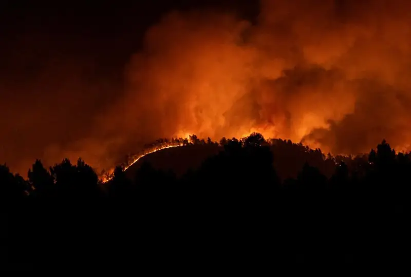 1500 человек эвакуированы из-за лесных пожаров в Испании