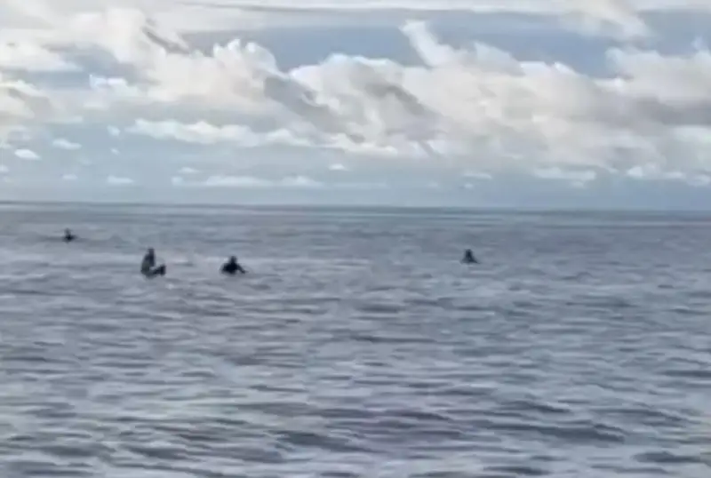 Четырех серферов, пропавших в открытом море, нашли у побережья Индонезии через 38 часов