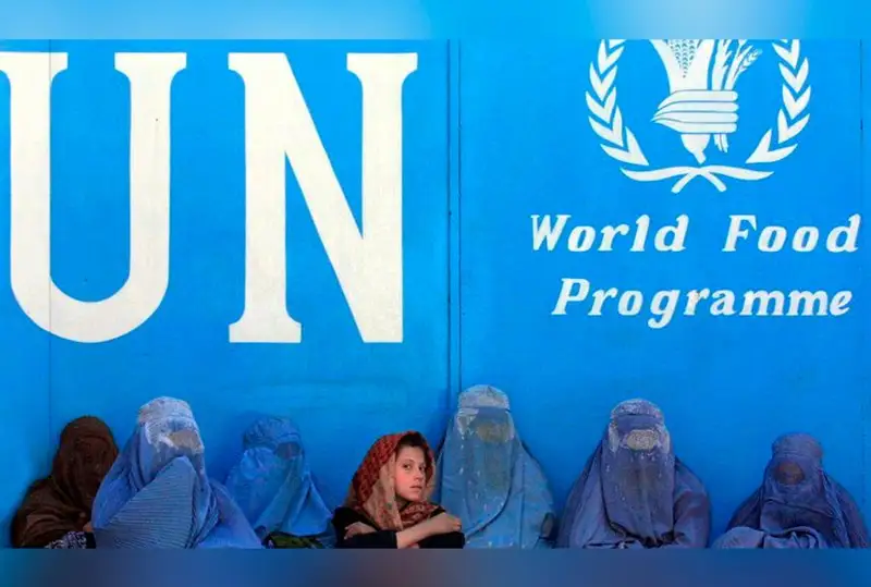 «Талибан» запретил афганским женщинам работать в ООН