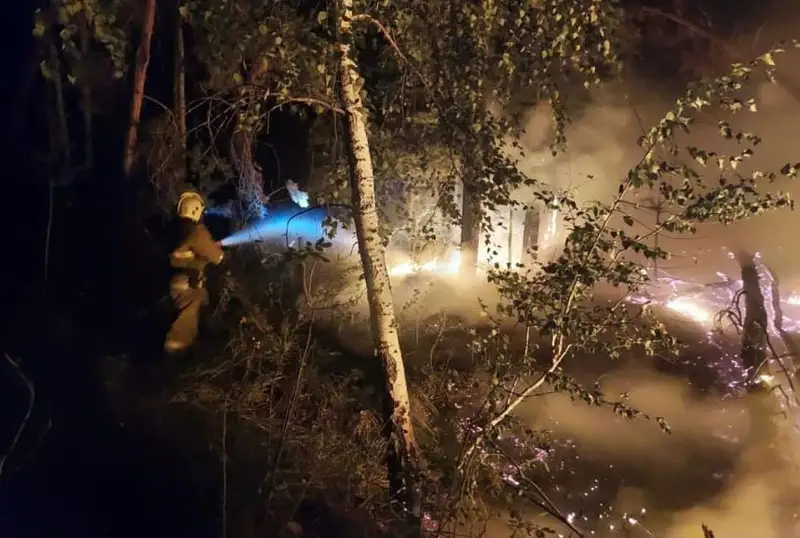 قوستاناي وبلىسىندا 5 اۋىلدىڭ ماڭىندا ورمان ءورتى ءسوندىرىلىپ جاتىر