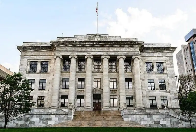 Бизнес на смерти: сотрудники Гарвардской медшколы торговали человеческими останками