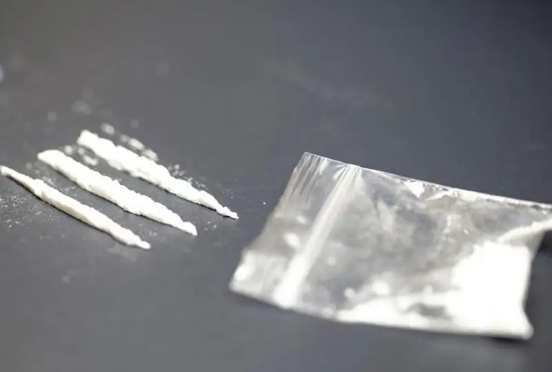 Производство кокаина в мире достигло рекордной отметки