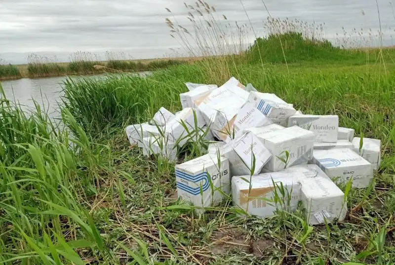 Jambyl oblysyna 25 mıllıon teńgeniń temekisin zańsyz kirgizbek bolǵan