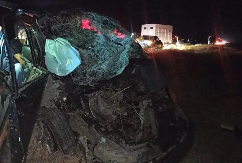 Пять человек пострадали в ДТП в Жамбылской области