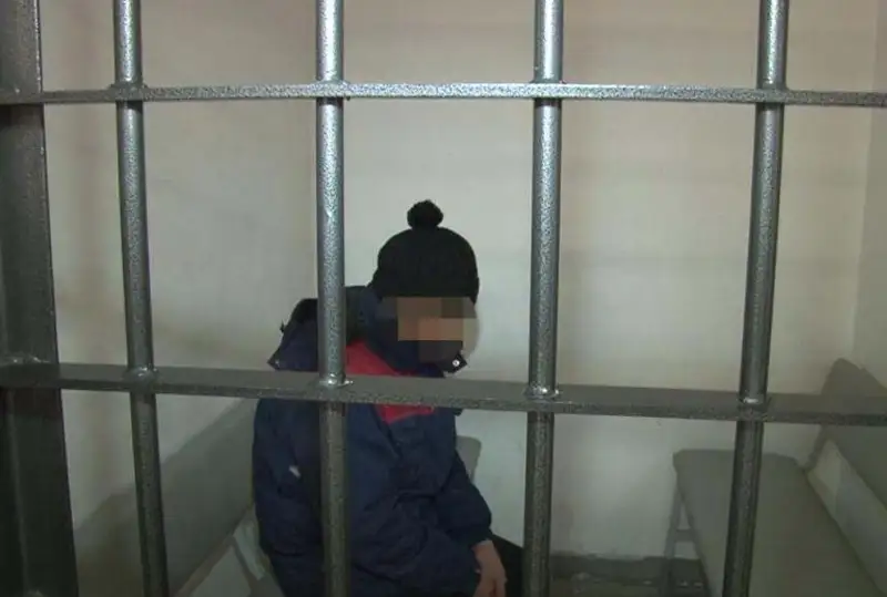 Водитель из Астаны арестован за неповиновение полицейским на закрытой трассе