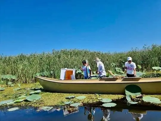 قازاق سۋرەتشىلەرى قيعاش وزەنىندەگى الىپ گۇلدى كەنەپكە بەينەلەپ جاتىر - فوتو