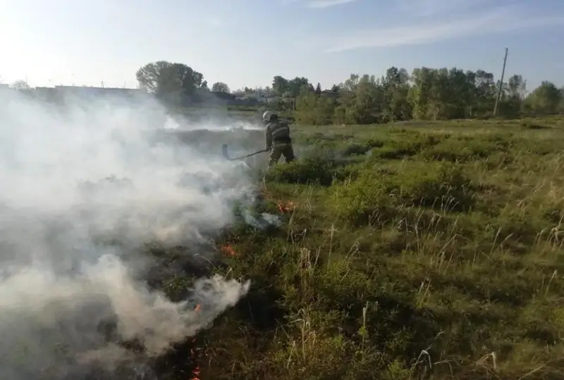 شىعىس قازاقستاندا كۇن سايىن 15 تەن استام دالا ءورتى تىركەلۋدە