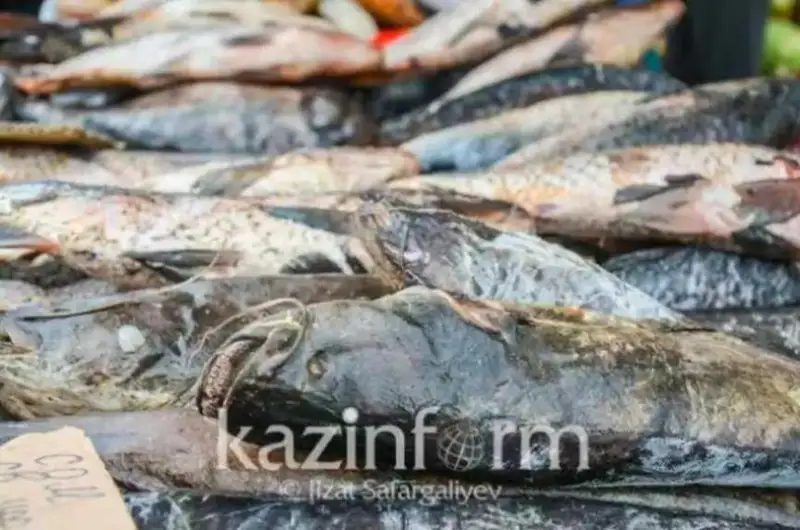 Запрет на лов рыбы и раков вводят в СКО