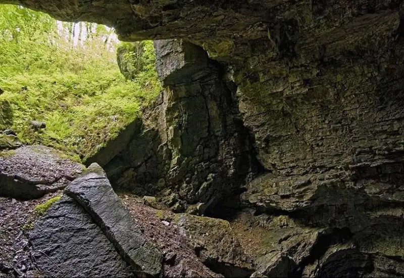 Лаосда қадимги одам қолдиқлари топилди