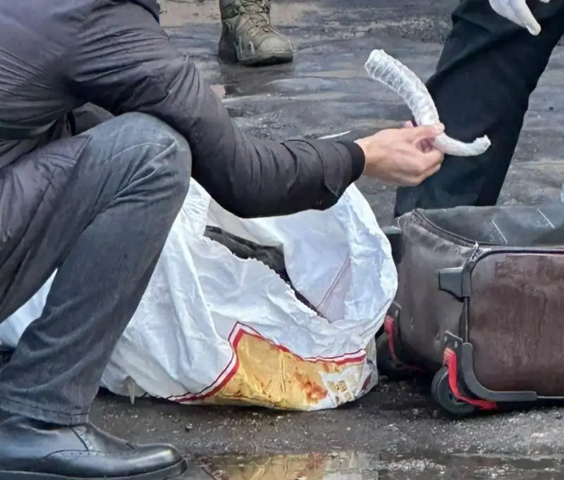 Более 200 сайгачьих рогов пытался продать житель Талдыкоргана