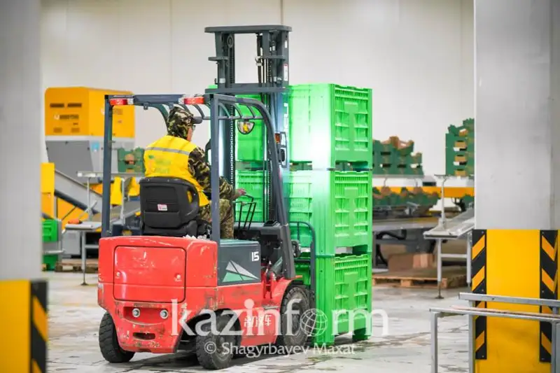 Рынок экспорта органической продукции будет расширен