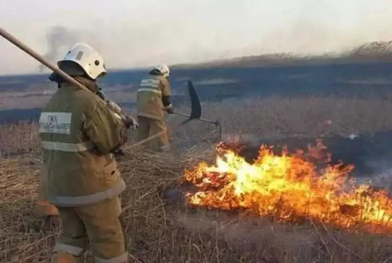 В Атырауской области на побережье Каспия начался пожар