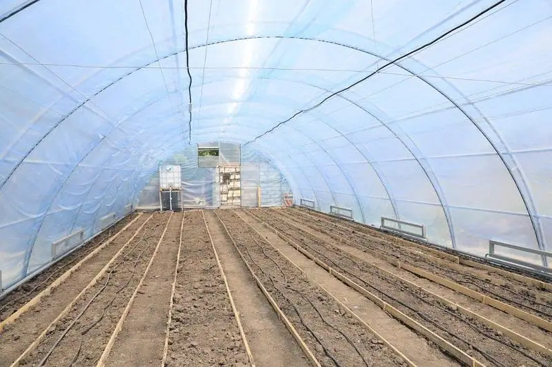 Количество теплиц растет в Актюбинской области