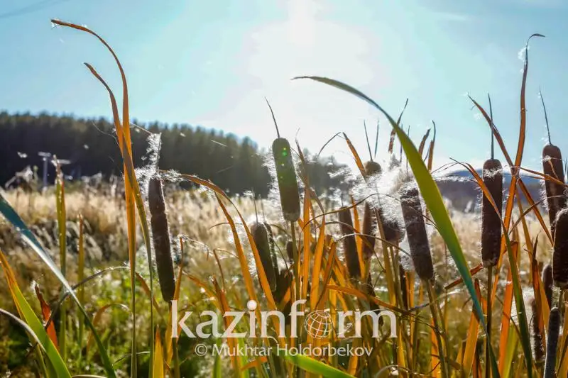 В Актобе и Атырау ожидаются неблагоприятные метеоусловия