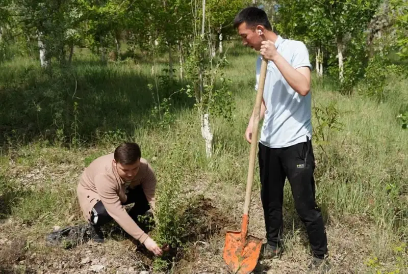 Qyzylordada kógaldandyrý qarqyndy júrip jatyr