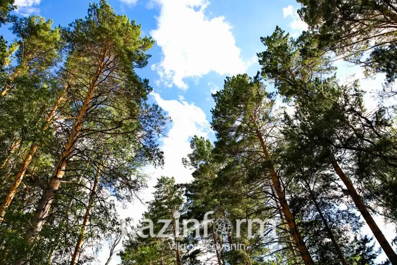 Благоприятные метеоусловия будут во всех городах Казахстана 26 июня