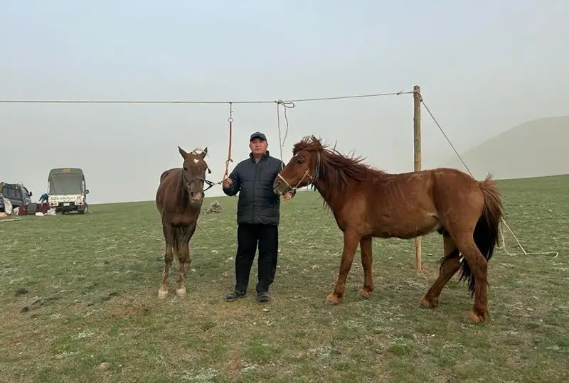 ءبىر بايگەدە 7 اتى جۇلدە العان قانداسپەن سۇحبات: موڭعوليادا شەتەلدەن الدىرعان بۋدان جۇيرىكتەردى جەكە جارىستىرادى