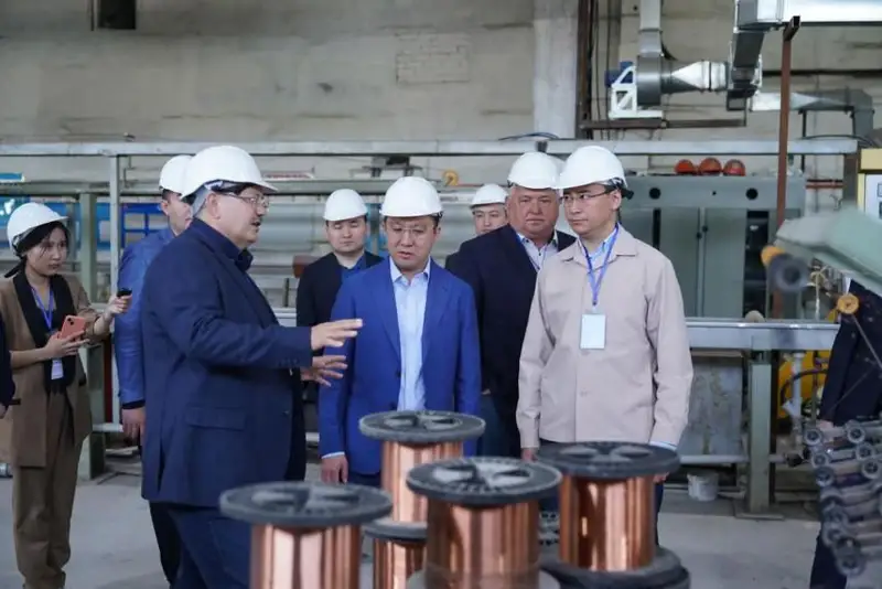 Глава МИИР ознакомился с планами развития индустриальных компаний Абайской области