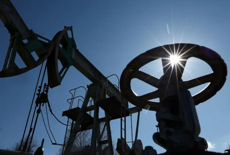 Часть стран ОПЕК+ начала добровольное снижение добычи нефти