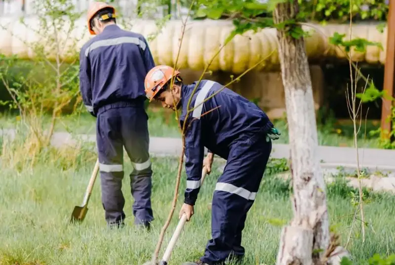 Две тысячи деревьев и кустарников высадили сотрудники корпорации «Казахмыс» в Балхаше и Жезказгане