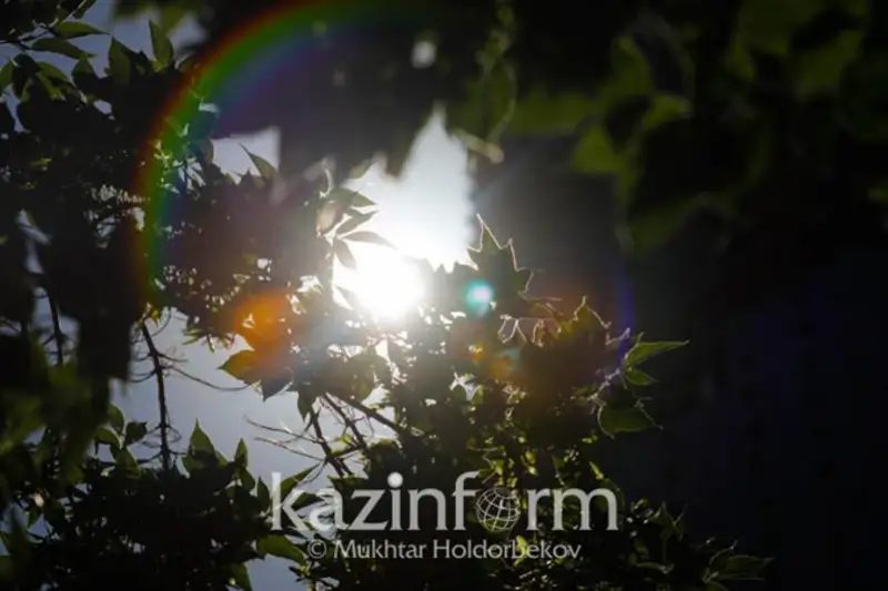 Июль станет самым жарким месяцем в истории наблюдений