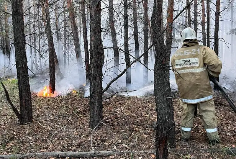 Тушение пожара продолжают в области Абай