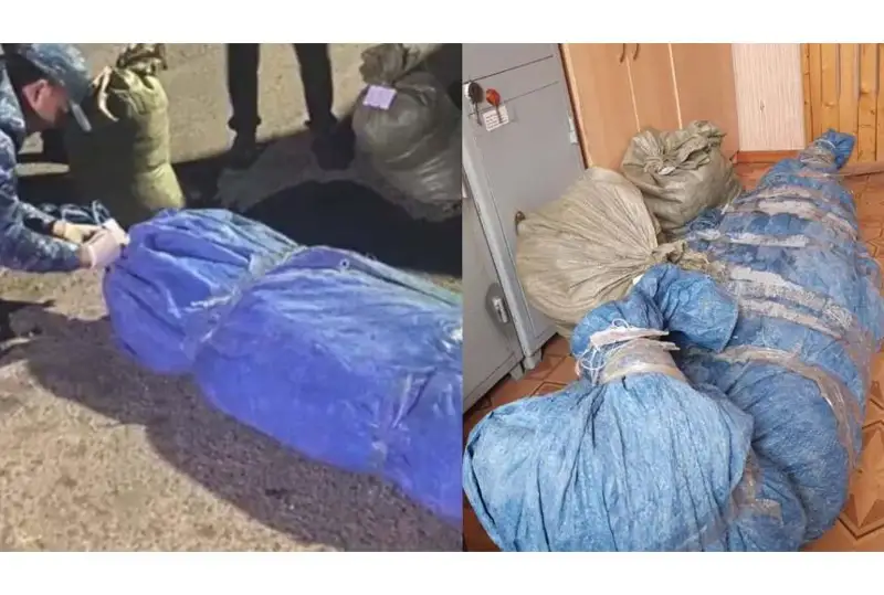 Четырех кызылординцев лишили свободы за хранение марихуаны