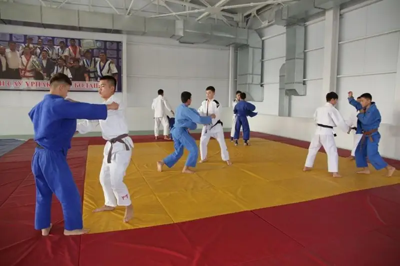 Для тренировки подростков пригласим японских тренеров – Федерация дзюдо РК