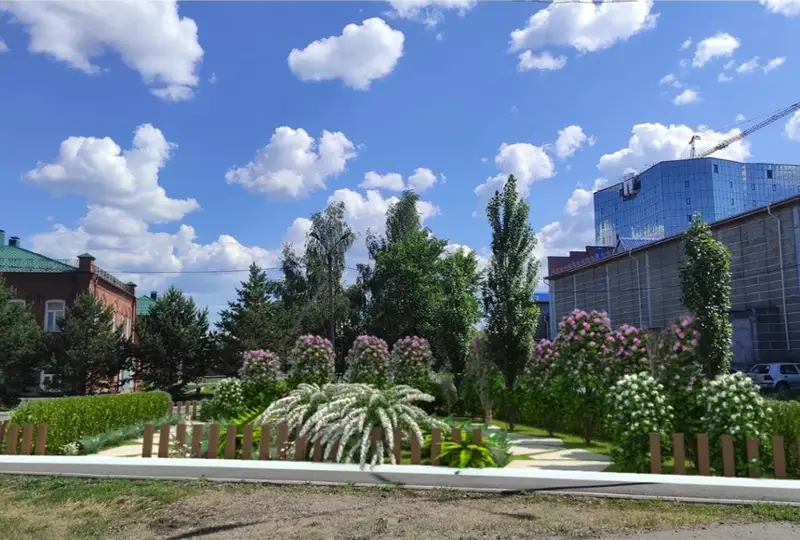 Petropavlda birneshe klımattyq beldeý ósimdikteri toǵysqan dendrobaq ashyldy