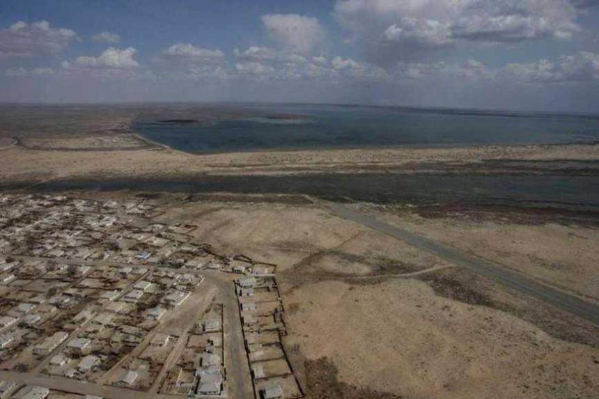 Пенисіңізге ара қойыңыз