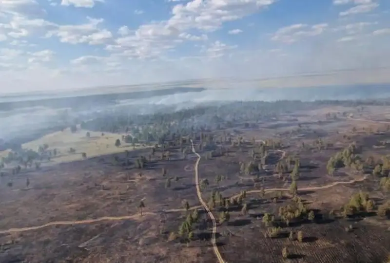 В области Абай локализовали природный пожар в «Семей орманы»