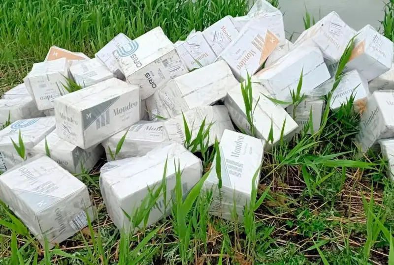 Ввоз контрабандных сигарет на 25 млн тенге пресекли пограничники в Жамбылской области