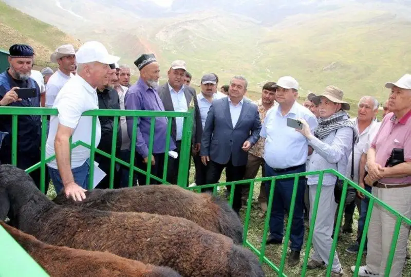 Казахстан принял участие в конференции по совершенствованию овец гиссарской породы в Таджикистане