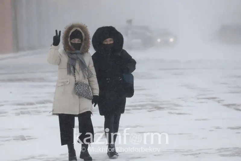Снег с метелью прогнозируют на большей части территории Казахстана 20 февраля