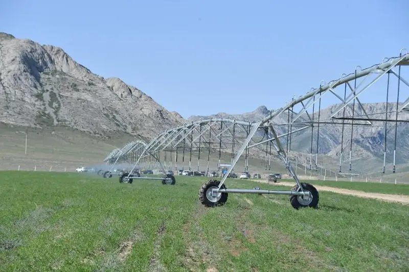 Туркистон вилоятида умумий яйлов майдони 1 миллион гектарга кенгайтирилади