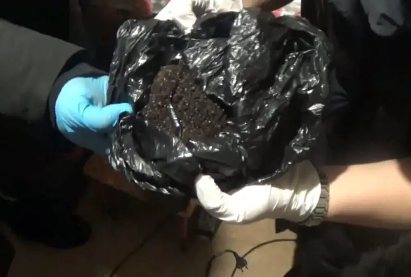 Наркопритон ликвидировали в Павлодаре