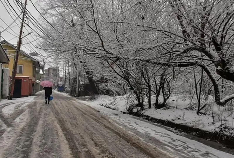 Снегопад парализовал часть северной Индии