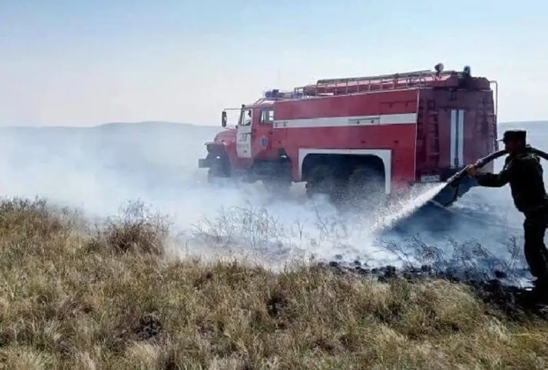 Природный пожар тушат в Павлодарской области