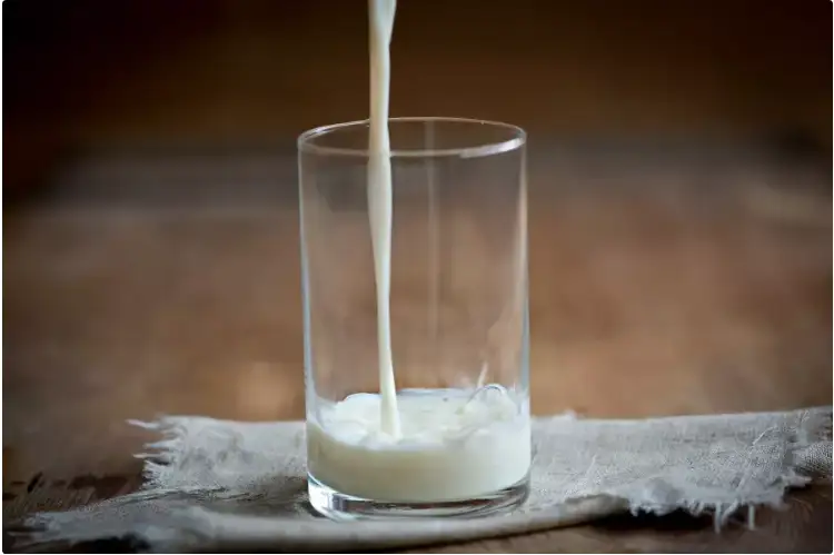 ەسەكتىڭ ءسۇتىن ەمدىك ماقساتتا ىشۋگە بولا ما؟