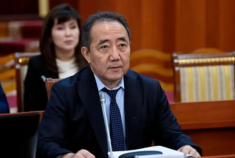 Долгосрочные визы за инвестиции предлагают иностранцам в Кыргызстане