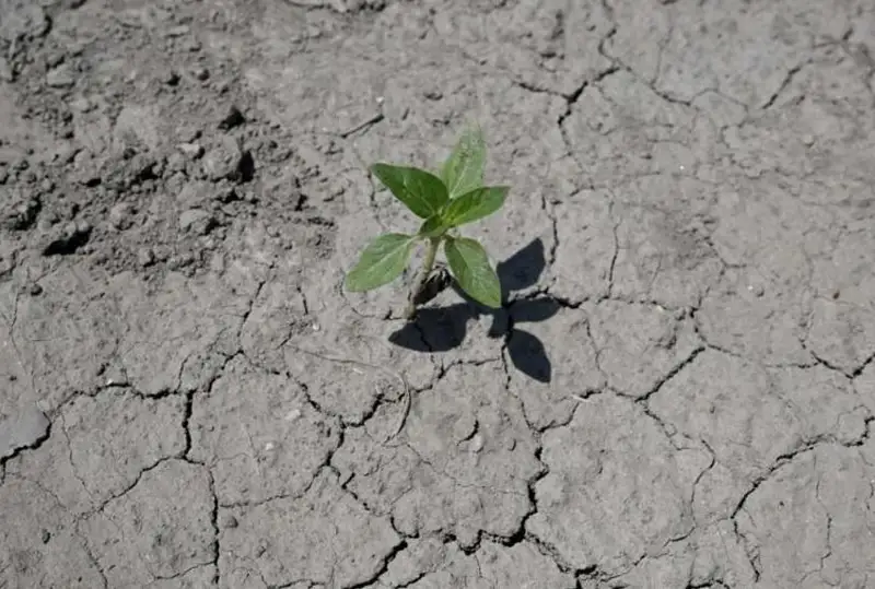 Франция охирги 60 йилдаги энг кучли қурғоқчиликдан азият чекмоқда