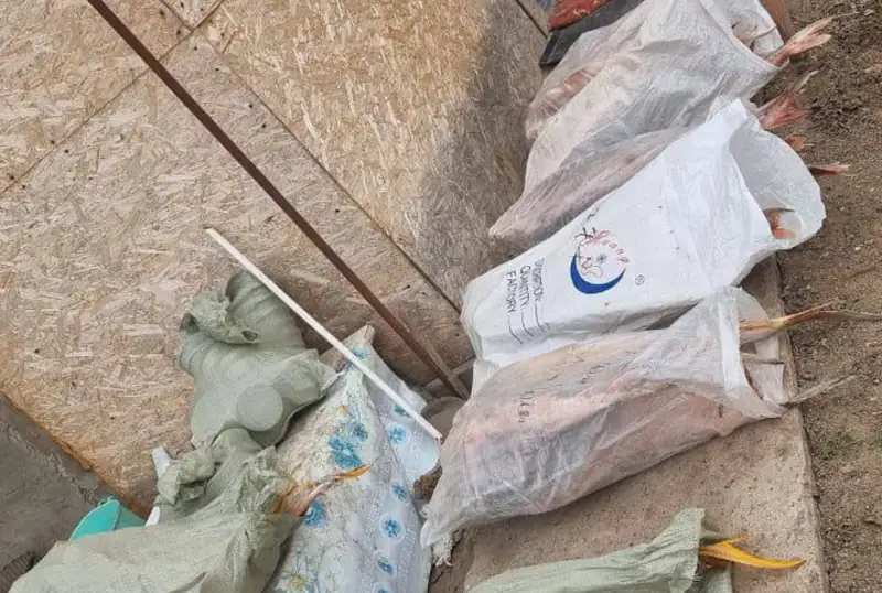 Около 30 килограммов черной икры изъяли у жителя Уральска