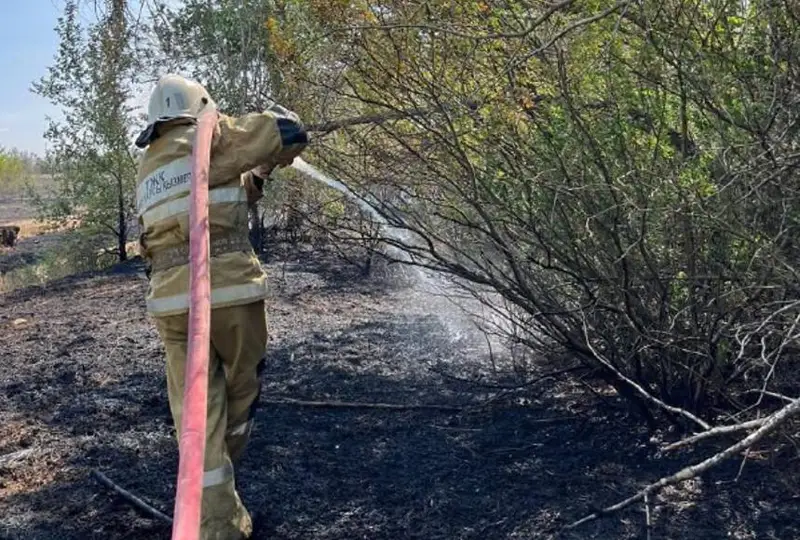 Сухостой загорелся в Уральске
