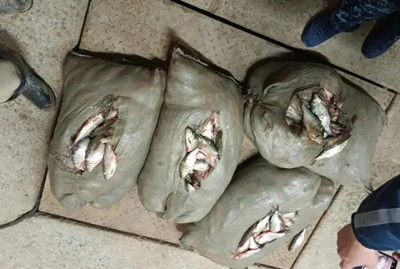 Двух рыболовов задержали в запретной зоне на берегу Аральского моря