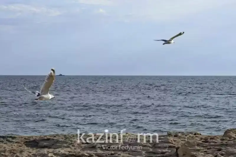 Aqtaýda jergilikti aýqymdaǵy tabıǵı sıpattaǵy tótenshe jaǵdaı jarııalandy
